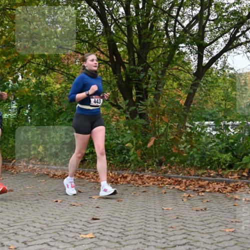 11.10.2026 - Bramfelder Halbmarathon 2026 J. Mangold http://msf.ph/oto/10822546 11.10.2026 10:18:49 Laufen 2, 443 meine-sportfotos.de