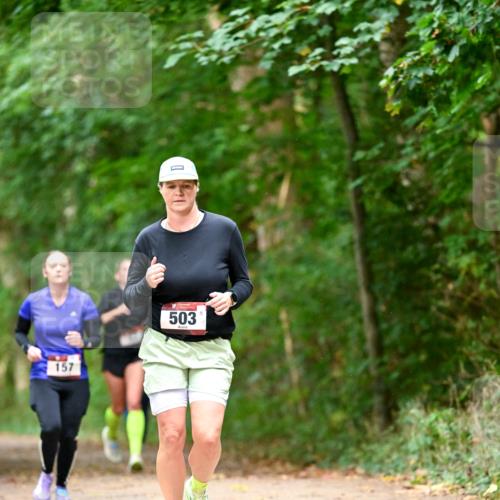 11.10.2026 - Bramfelder Halbmarathon 2026 Dr. Thomas Lammeyer http://msf.ph/oto/10822554 11.10.2026 10:35:24 Laufen 157, 503 meine-sportfotos.de
