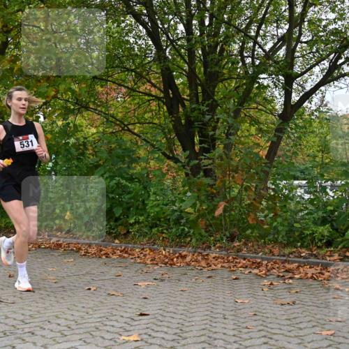 11.10.2026 - Bramfelder Halbmarathon 2026 J. Mangold http://msf.ph/oto/10822577 11.10.2026 10:19:19 Laufen 16, 271, 531 meine-sportfotos.de