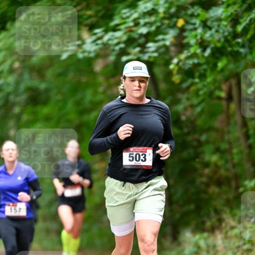 11.10.2026 - Bramfelder Halbmarathon 2026 Dr. Thomas Lammeyer http://msf.ph/oto/10822578 11.10.2026 10:35:25 Laufen 157, 503 meine-sportfotos.de