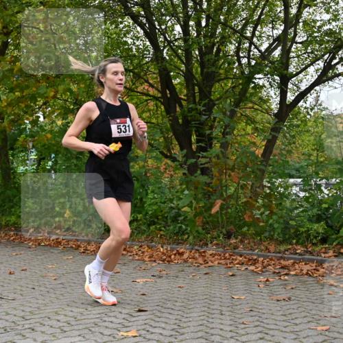 11.10.2026 - Bramfelder Halbmarathon 2026 J. Mangold http://msf.ph/oto/10822581 11.10.2026 10:19:20 Laufen 16, 271, 531 meine-sportfotos.de