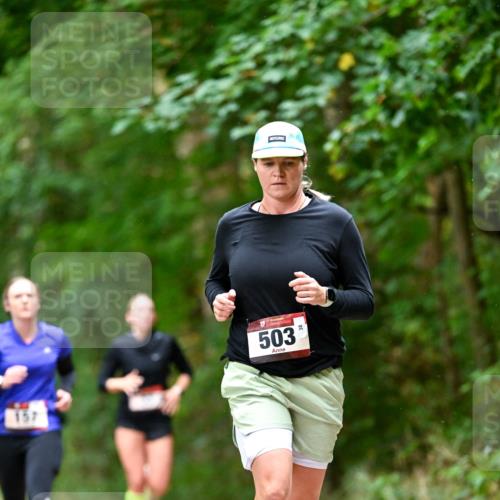 11.10.2026 - Bramfelder Halbmarathon 2026 Dr. Thomas Lammeyer http://msf.ph/oto/10822582 11.10.2026 10:35:26 Laufen 157, 503 meine-sportfotos.de