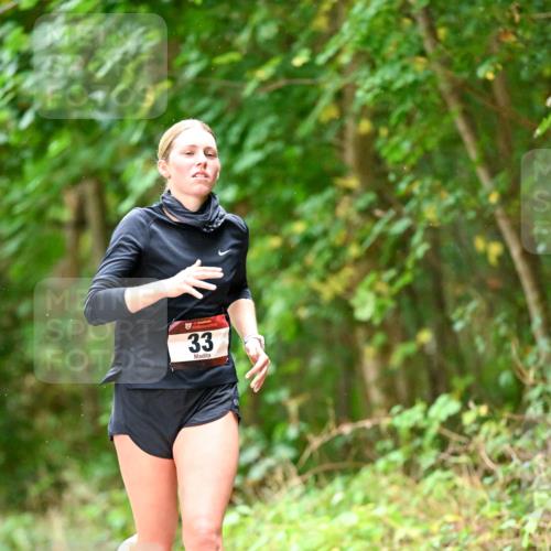 11.10.2026 - Bramfelder Halbmarathon 2026 Dr. Thomas Lammeyer http://msf.ph/oto/10822618 11.10.2026 10:35:29 Laufen 33 meine-sportfotos.de