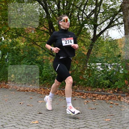 11.10.2026 - Bramfelder Halbmarathon 2026 J. Mangold http://msf.ph/oto/10822631 11.10.2026 10:20:06 Laufen 219, 274 meine-sportfotos.de