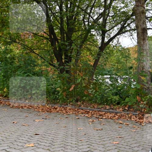 11.10.2026 - Bramfelder Halbmarathon 2026 J. Mangold http://msf.ph/oto/10822644 11.10.2026 10:20:11 Laufen 33, 219, 274, 760 meine-sportfotos.de