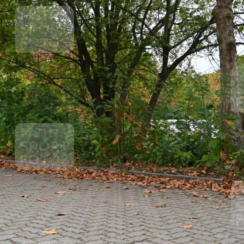 11.10.2026 - Bramfelder Halbmarathon 2026 J. Mangold http://msf.ph/oto/10822646 11.10.2026 10:20:14 Laufen 33, 606, 760 meine-sportfotos.de