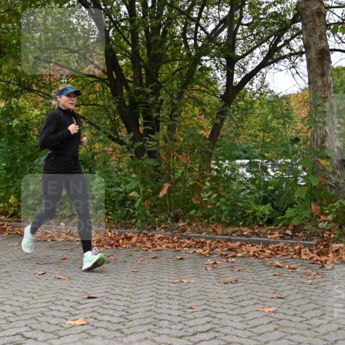11.10.2026 - Bramfelder Halbmarathon 2026 J. Mangold http://msf.ph/oto/10822724 11.10.2026 10:21:33 Laufen 781 meine-sportfotos.de