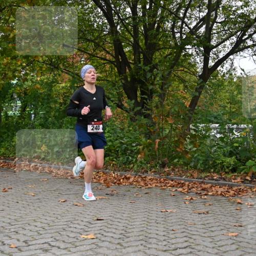11.10.2026 - Bramfelder Halbmarathon 2026 J. Mangold http://msf.ph/oto/10822743 11.10.2026 10:22:08 Laufen 240, 272, 275, 730, 816 meine-sportfotos.de