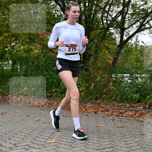 11.10.2026 - Bramfelder Halbmarathon 2026 J. Mangold http://msf.ph/oto/10822754 11.10.2026 10:22:10 Laufen 240, 272, 275, 730, 816 meine-sportfotos.de
