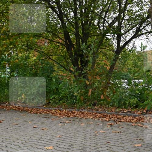11.10.2026 - Bramfelder Halbmarathon 2026 J. Mangold http://msf.ph/oto/10822907 11.10.2026 10:23:16 Laufen 192, 328, 741 meine-sportfotos.de