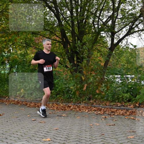 11.10.2026 - Bramfelder Halbmarathon 2026 J. Mangold http://msf.ph/oto/10822913 11.10.2026 10:23:17 Laufen 192, 328, 741 meine-sportfotos.de