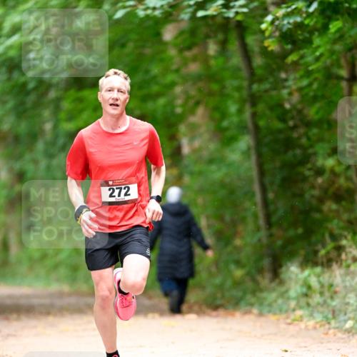 11.10.2026 - Bramfelder Halbmarathon 2026 Dr. Thomas Lammeyer http://msf.ph/oto/10822946 11.10.2026 10:36:35 Laufen 272 meine-sportfotos.de