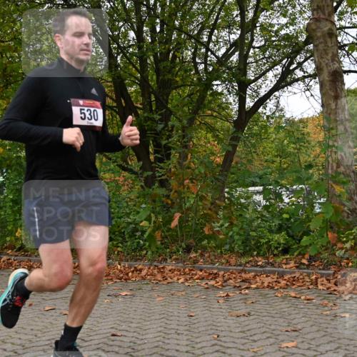 11.10.2026 - Bramfelder Halbmarathon 2026 J. Mangold http://msf.ph/oto/10823061 11.10.2026 10:27:12 Laufen 530, 551, 641, 702 meine-sportfotos.de