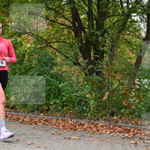 11.10.2026 - Bramfelder Halbmarathon 2026 J. Mangold http://msf.ph/oto/10823103 11.10.2026 10:27:55 Laufen 368, 521, 526, 637, 735 meine-sportfotos.de