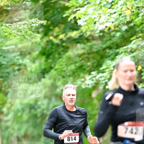 11.10.2026 - Bramfelder Halbmarathon 2026 Dr. Thomas Lammeyer http://msf.ph/oto/10823114 11.10.2026 10:37:19 Laufen 814, 742 meine-sportfotos.de