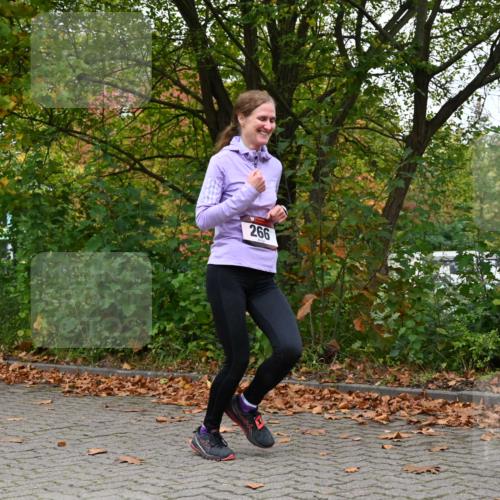 11.10.2026 - Bramfelder Halbmarathon 2026 J. Mangold http://msf.ph/oto/10823168 11.10.2026 10:28:29 Laufen 266 meine-sportfotos.de