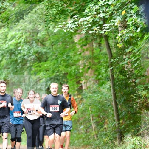 11.10.2026 - Bramfelder Halbmarathon 2026 Dr. Thomas Lammeyer http://msf.ph/oto/10823176 11.10.2026 10:37:44 Laufen 25, 132, 617, 626 meine-sportfotos.de
