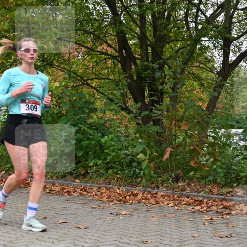 11.10.2026 - Bramfelder Halbmarathon 2026 J. Mangold http://msf.ph/oto/10823177 11.10.2026 10:28:41 Laufen 159, 309 meine-sportfotos.de
