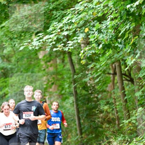 11.10.2026 - Bramfelder Halbmarathon 2026 Dr. Thomas Lammeyer http://msf.ph/oto/10823201 11.10.2026 10:37:45 Laufen 617, 626, 455 meine-sportfotos.de