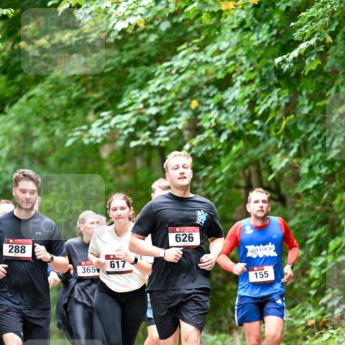 11.10.2026 - Bramfelder Halbmarathon 2026 Dr. Thomas Lammeyer http://msf.ph/oto/10823232 11.10.2026 10:37:49 Laufen 288, 365, 617, 626, 155 meine-sportfotos.de