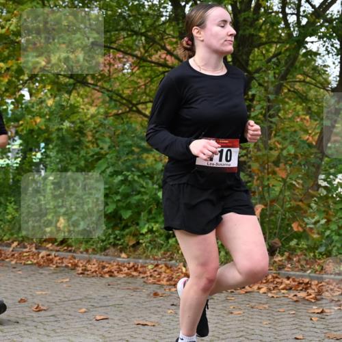 11.10.2026 - Bramfelder Halbmarathon 2026 J. Mangold http://msf.ph/oto/10823245 11.10.2026 10:30:39 Laufen 110, 323, 801, 817 meine-sportfotos.de