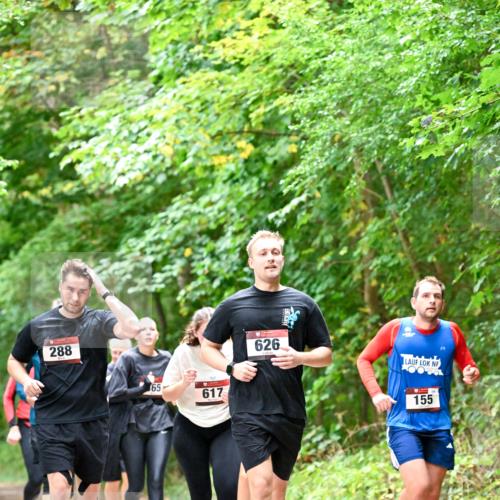 11.10.2026 - Bramfelder Halbmarathon 2026 Dr. Thomas Lammeyer http://msf.ph/oto/10823250 11.10.2026 10:37:51 Laufen 288, 65, 617, 626, 155 meine-sportfotos.de