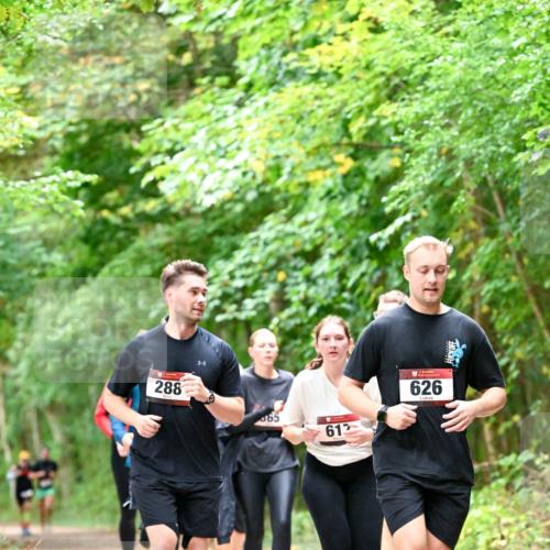 11.10.2026 - Bramfelder Halbmarathon 2026 Dr. Thomas Lammeyer http://msf.ph/oto/10823259 11.10.2026 10:37:51 Laufen 288, 65, 612, 626 meine-sportfotos.de