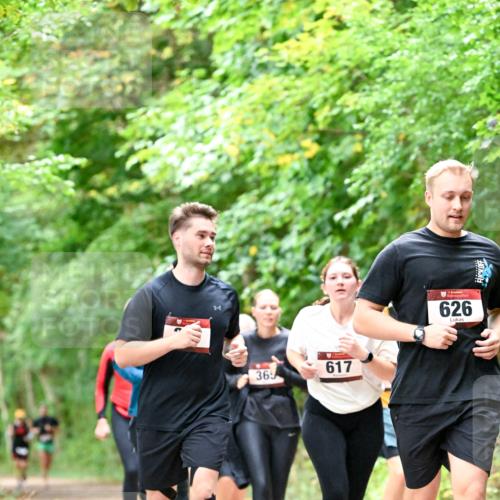 11.10.2026 - Bramfelder Halbmarathon 2026 Dr. Thomas Lammeyer http://msf.ph/oto/10823267 11.10.2026 10:37:52 Laufen 365, 617, 626 meine-sportfotos.de