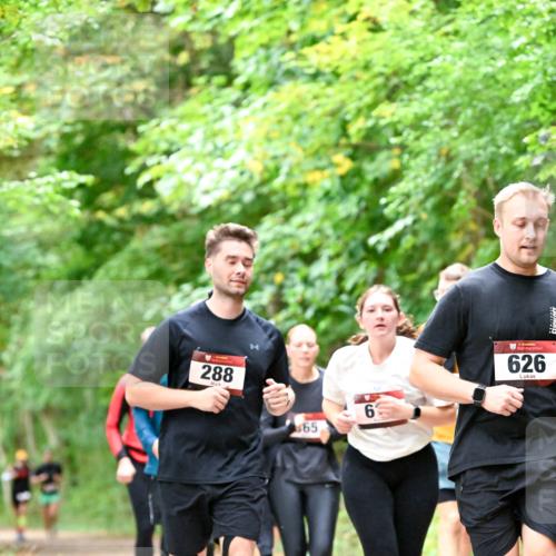 11.10.2026 - Bramfelder Halbmarathon 2026 Dr. Thomas Lammeyer http://msf.ph/oto/10823269 11.10.2026 10:37:52 Laufen 288, 565, 6, 626 meine-sportfotos.de