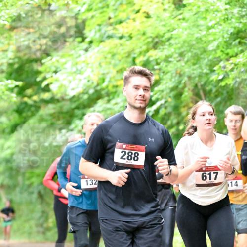 11.10.2026 - Bramfelder Halbmarathon 2026 Dr. Thomas Lammeyer http://msf.ph/oto/10823282 11.10.2026 10:37:53 Laufen 132, 288, 617, 514 meine-sportfotos.de