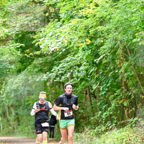 11.10.2026 - Bramfelder Halbmarathon 2026 Dr. Thomas Lammeyer http://msf.ph/oto/10823309 11.10.2026 10:38:01 Laufen 84 meine-sportfotos.de
