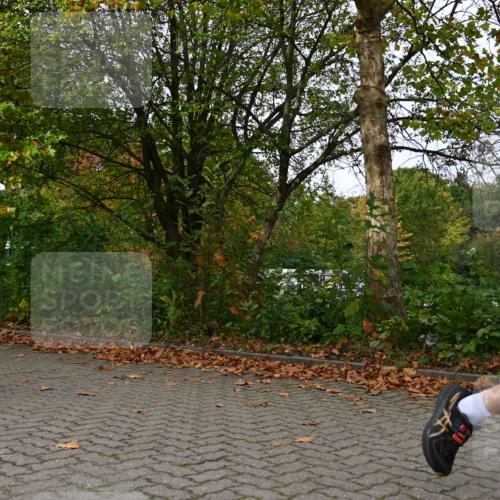 11.10.2026 - Bramfelder Halbmarathon 2026 J. Mangold http://msf.ph/oto/10823320 11.10.2026 10:31:52 Laufen 174, 239, 312, 593, 748 meine-sportfotos.de