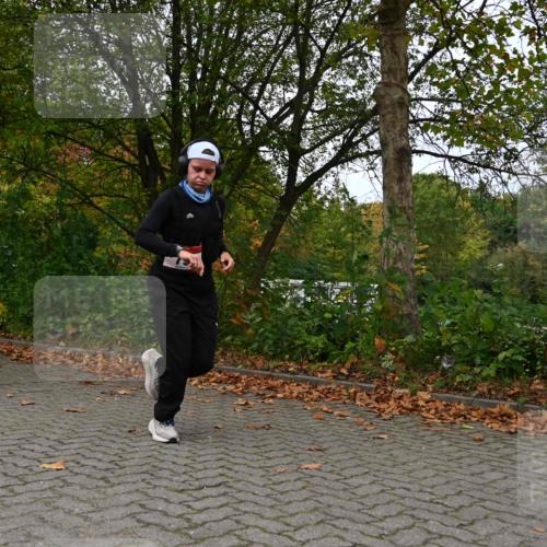 11.10.2026 - Bramfelder Halbmarathon 2026 J. Mangold http://msf.ph/oto/10823418 11.10.2026 10:32:17 Laufen 79, 227, 254, 362 meine-sportfotos.de