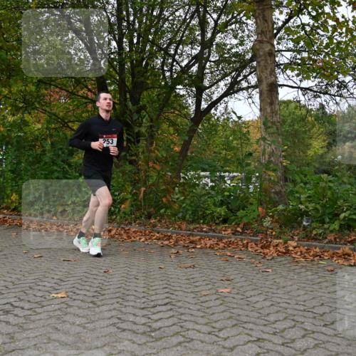 11.10.2026 - Bramfelder Halbmarathon 2026 J. Mangold http://msf.ph/oto/10823484 11.10.2026 10:33:01 Laufen 253 meine-sportfotos.de
