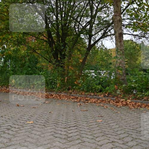 11.10.2026 - Bramfelder Halbmarathon 2026 J. Mangold http://msf.ph/oto/10823508 11.10.2026 10:33:08 Laufen 253, 300, 329, 463 meine-sportfotos.de