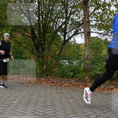 11.10.2026 - Bramfelder Halbmarathon 2026 J. Mangold http://msf.ph/oto/10823565 11.10.2026 10:33:20 Laufen 18, 34, 114, 214, 429, 452, 479, 567, 605, 720 meine-sportfotos.de