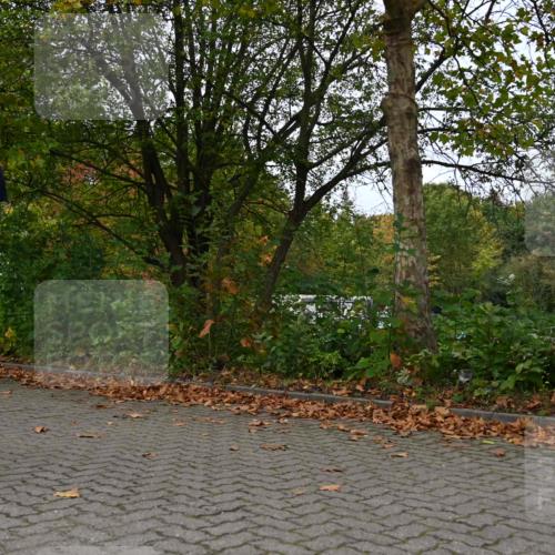 11.10.2026 - Bramfelder Halbmarathon 2026 J. Mangold http://msf.ph/oto/10823589 11.10.2026 10:33:23 Laufen 18, 114, 214, 452, 479, 567, 605 meine-sportfotos.de