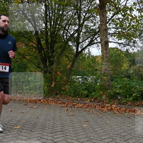 11.10.2026 - Bramfelder Halbmarathon 2026 J. Mangold http://msf.ph/oto/10823592 11.10.2026 10:33:23 Laufen 18, 114, 214, 452, 479, 567, 605 meine-sportfotos.de