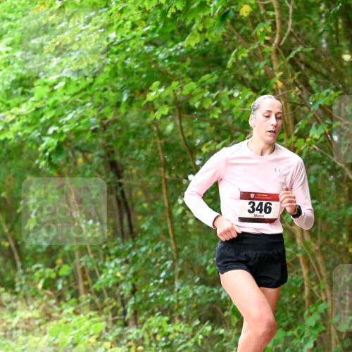 11.10.2026 - Bramfelder Halbmarathon 2026 Dr. Thomas Lammeyer http://msf.ph/oto/10823630 11.10.2026 10:38:51 Laufen 346 meine-sportfotos.de