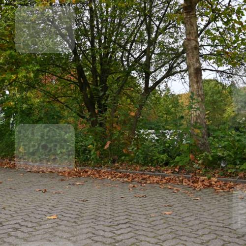 11.10.2026 - Bramfelder Halbmarathon 2026 J. Mangold http://msf.ph/oto/10823670 11.10.2026 10:34:05 Laufen 222, 408, 430 meine-sportfotos.de