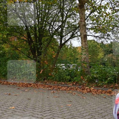 11.10.2026 - Bramfelder Halbmarathon 2026 J. Mangold http://msf.ph/oto/10823677 11.10.2026 10:34:14 Laufen 69, 100, 104, 327 meine-sportfotos.de
