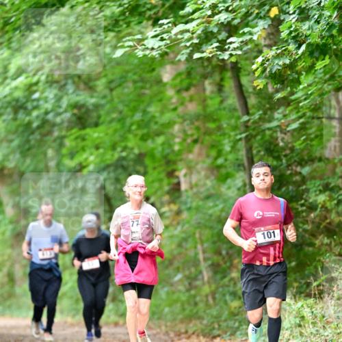 11.10.2026 - Bramfelder Halbmarathon 2026 Dr. Thomas Lammeyer http://msf.ph/oto/10823695 11.10.2026 10:39:23 Laufen 101 meine-sportfotos.de