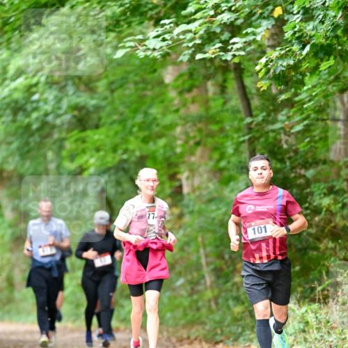11.10.2026 - Bramfelder Halbmarathon 2026 Dr. Thomas Lammeyer http://msf.ph/oto/10823699 11.10.2026 10:39:23 Laufen 77, 101 meine-sportfotos.de