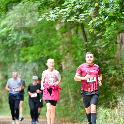 11.10.2026 - Bramfelder Halbmarathon 2026 Dr. Thomas Lammeyer http://msf.ph/oto/10823702 11.10.2026 10:39:23 Laufen 101 meine-sportfotos.de