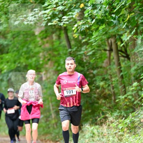11.10.2026 - Bramfelder Halbmarathon 2026 Dr. Thomas Lammeyer http://msf.ph/oto/10823706 11.10.2026 10:39:24 Laufen 77, 101 meine-sportfotos.de