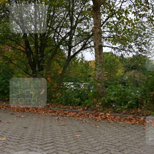 11.10.2026 - Bramfelder Halbmarathon 2026 J. Mangold http://msf.ph/oto/10823709 11.10.2026 10:34:22 Laufen 44, 303, 356, 439, 444, 822 meine-sportfotos.de