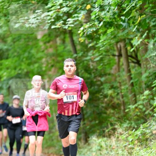 11.10.2026 - Bramfelder Halbmarathon 2026 Dr. Thomas Lammeyer http://msf.ph/oto/10823710 11.10.2026 10:39:24 Laufen 101 meine-sportfotos.de