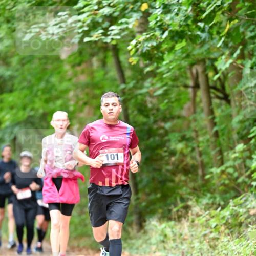 11.10.2026 - Bramfelder Halbmarathon 2026 Dr. Thomas Lammeyer http://msf.ph/oto/10823712 11.10.2026 10:39:24 Laufen 101 meine-sportfotos.de