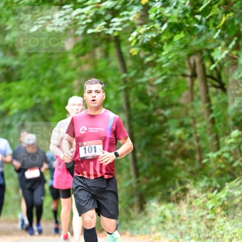 11.10.2026 - Bramfelder Halbmarathon 2026 Dr. Thomas Lammeyer http://msf.ph/oto/10823718 11.10.2026 10:39:25 Laufen 101 meine-sportfotos.de
