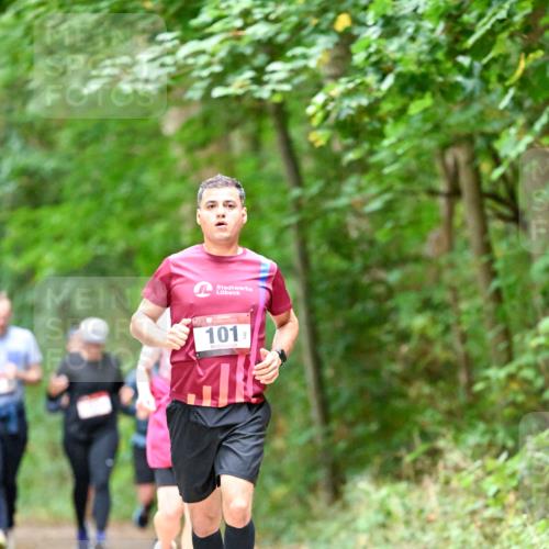 11.10.2026 - Bramfelder Halbmarathon 2026 Dr. Thomas Lammeyer http://msf.ph/oto/10823720 11.10.2026 10:39:25 Laufen 101 meine-sportfotos.de